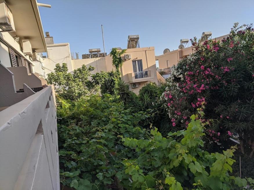Pension Irene Σούγια Εξωτερικό φωτογραφία