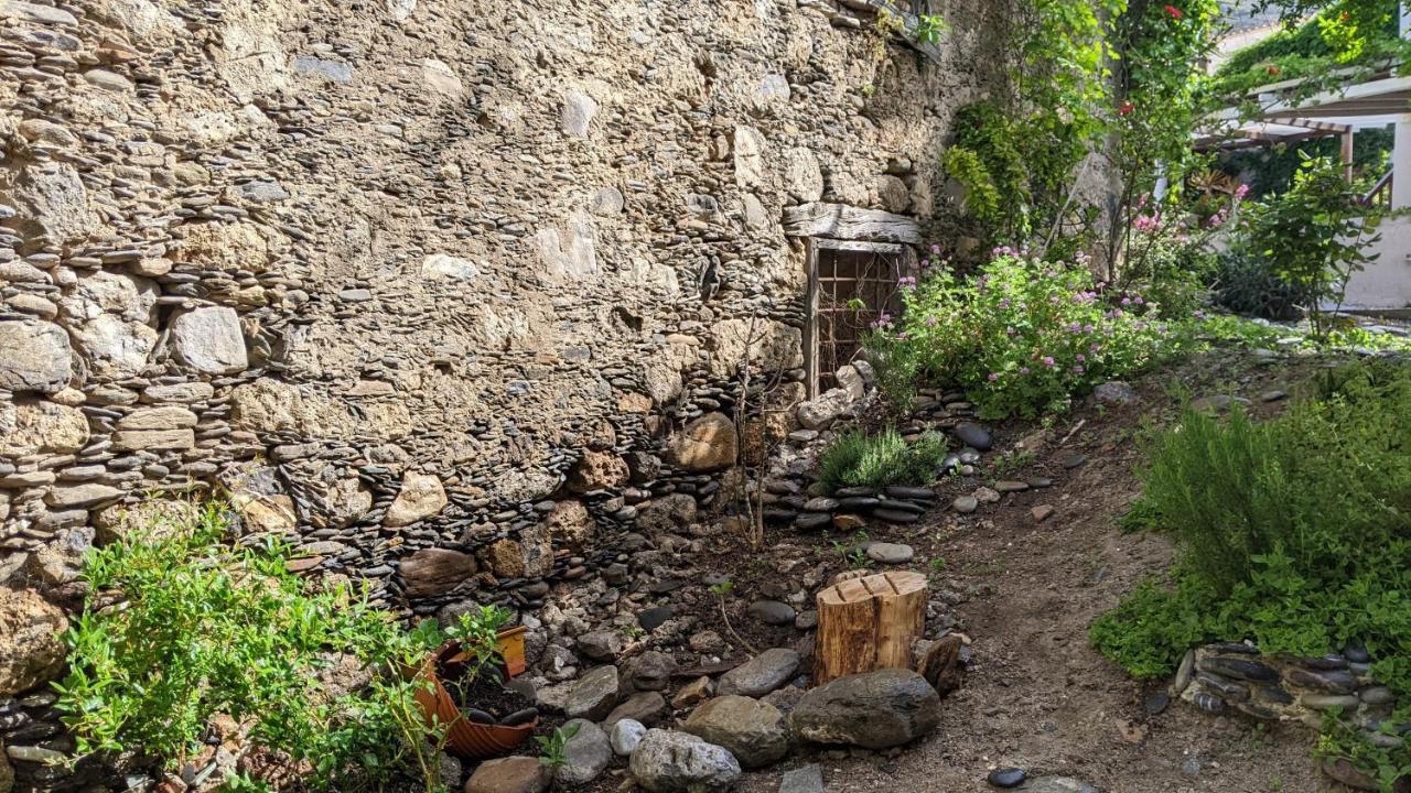 Pension Irene Σούγια Εξωτερικό φωτογραφία